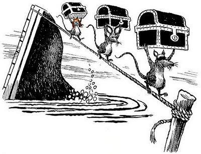Rats