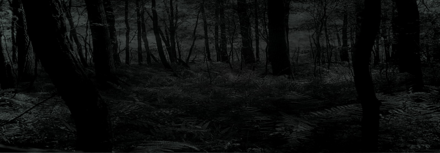 After Dante's Inferno Republicans in a Forest Deep